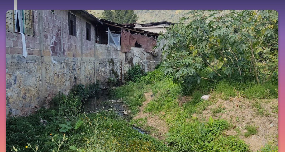 Agua Pura – Pura Vida