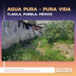 Agua Pura – Pura Vida
