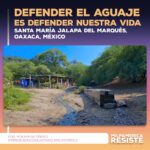 Defender el Aguaje es Defender Nuestra Vida